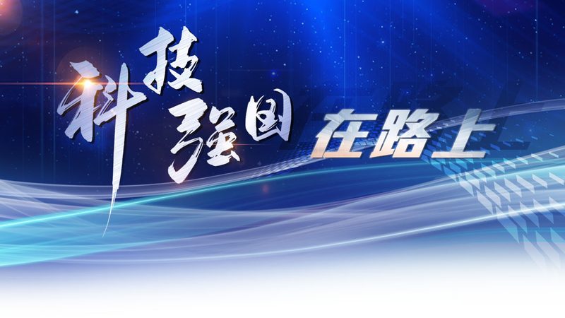 物流与供应链管理：如何选择更优方案